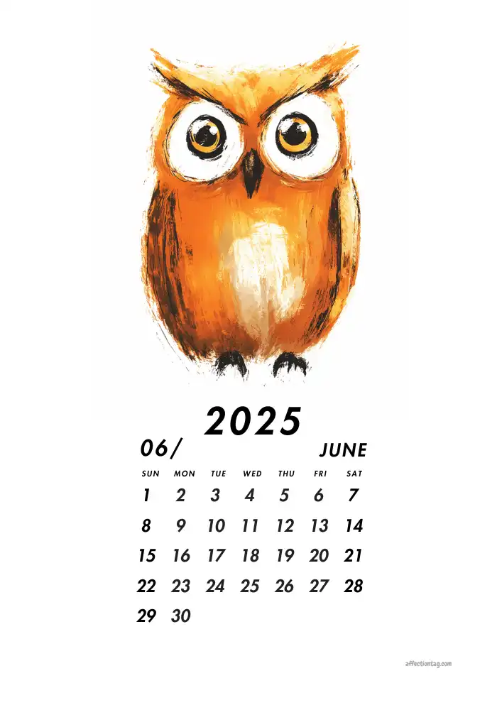 2025 Doodle Calendar - A Year of Fun and Cute Monthly Doodles 7 "Bold orange owl brightening up June in the 2025 Doodle Calendar - affectiontag.com©
