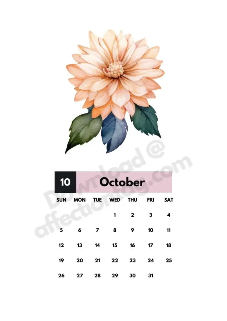 Bloom Calendar 2025 – Free Printable Monthly Botanical Designs2025 Bloom Calendar 11 A charming pink peony highlights the October 2025 calendar design. ©affectiontag.com.