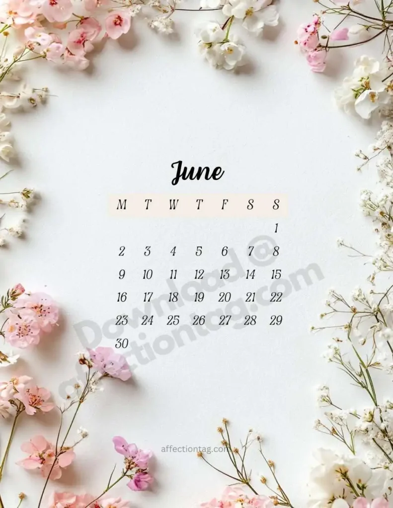 Beautiful June 2025 floral calendar with a minimalist white background adorned with pink and white flowers on the edges. Dates are displayed elegantly in black font with 'June' in stylish typography. ©affectiontag.com