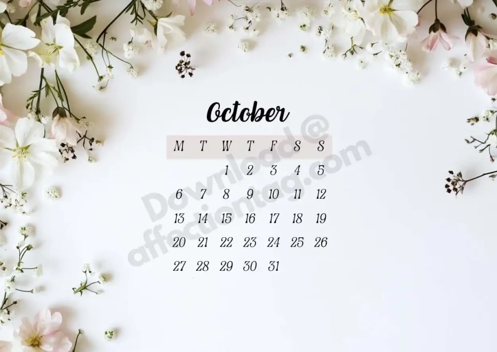 October 2025 Floral Calendar featuring delicate white flowers and a minimalist design to welcome autumn. ©affectiontag.com