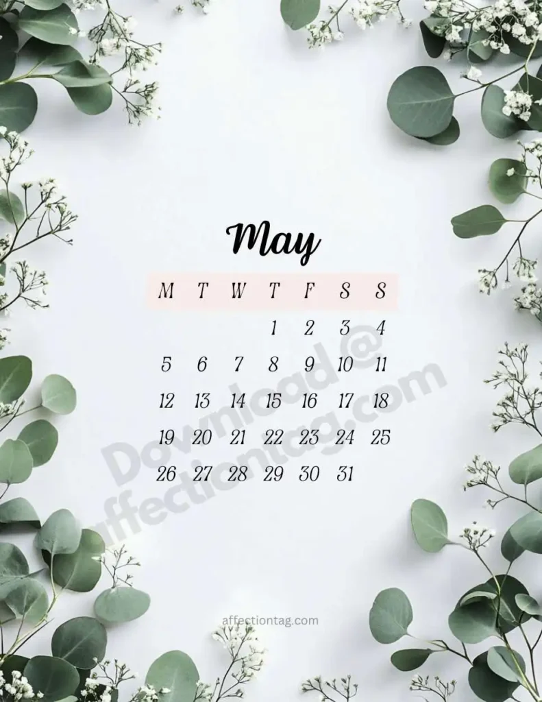 Elegant May 2025 floral calendar featuring a clean white background and delicate eucalyptus leaves decorating the borders. The dates are presented in a clear black font with 'May' written in sophisticated typography. ©affectiontag.com