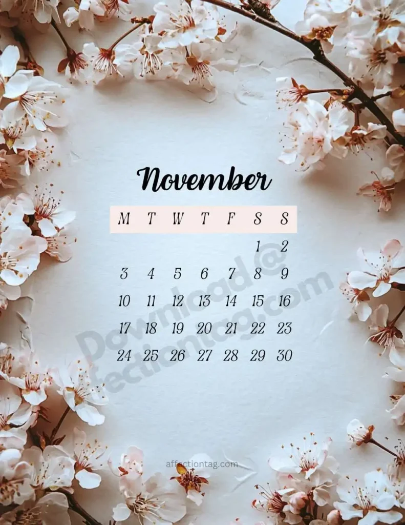 November 2025 Floral Calendar with blooming white and pink cherry blossoms, embodying autumnal elegance. ©affectiontag.com