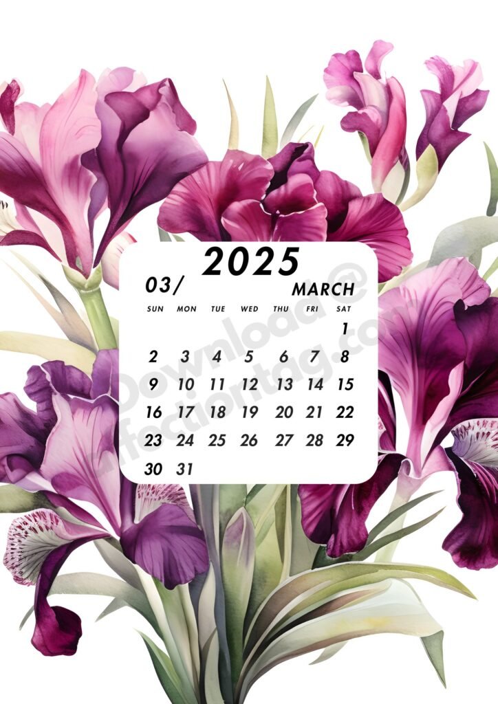 March 2025 calendar highlighted with blooming fuchsia flowers and a clear, user-friendly design.