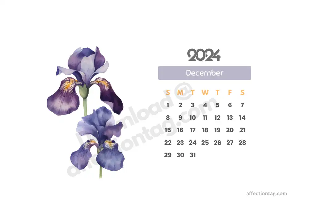 Elegant December 2024 landscape calendar with iris flower illustrations, available as a printable design © affectiontag.com