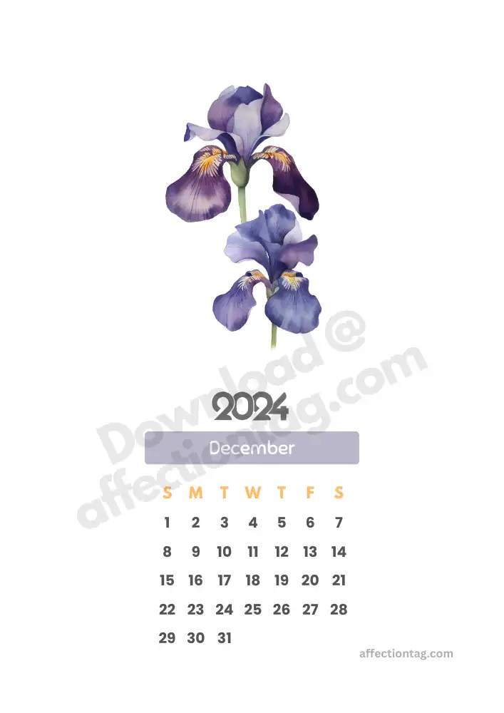 December 2024 single-page vertical monthly calendar featuring elegant iris flowers on a transparent background © affectiontag.com