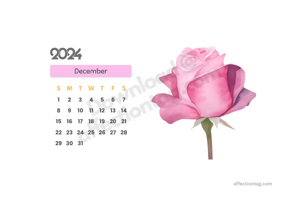 Minimalist December 2024 landscape calendar with a single rose design, available for printable download © affectiontag.com