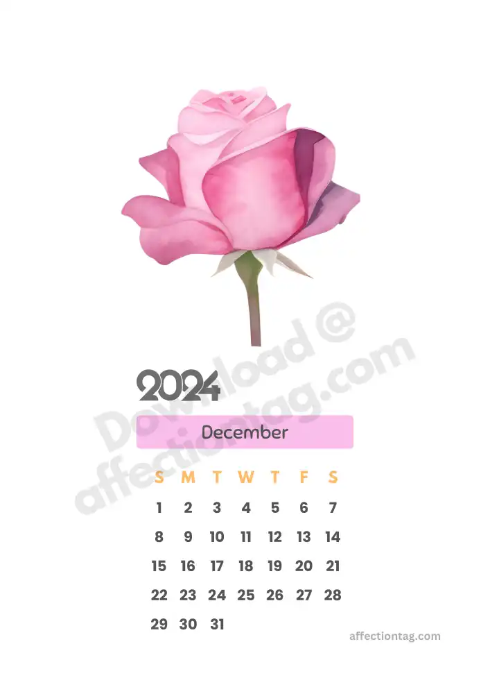 Minimalist December 2024 portrait calendar with a single rose illustration, perfect for holidays or daily planning © affectiontag.com