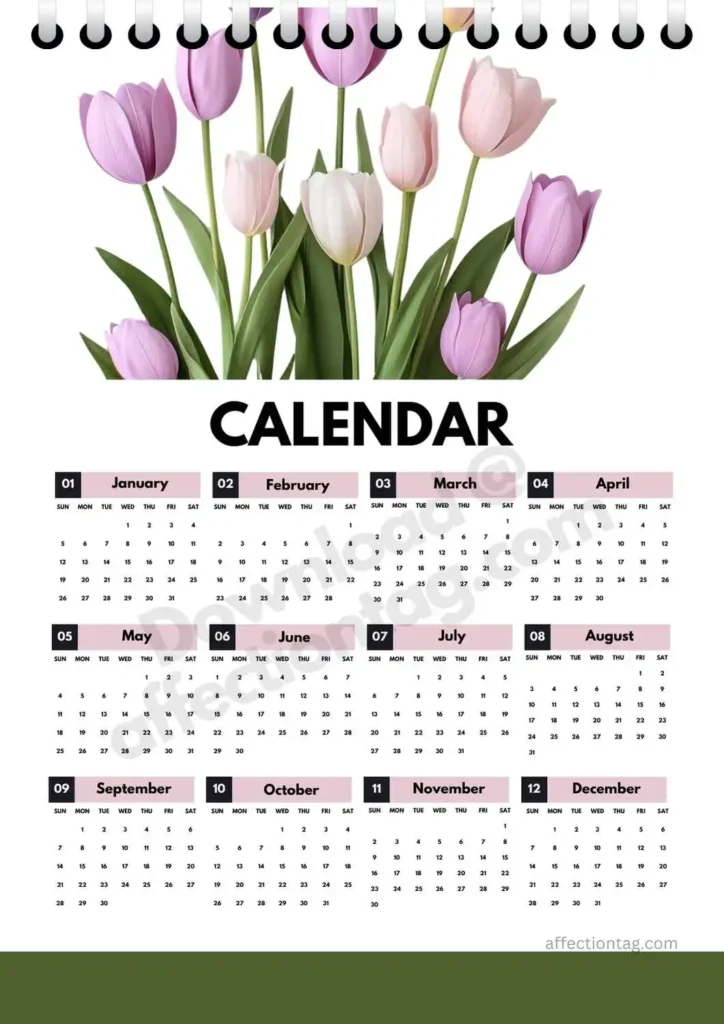 Tulip Blossom Calendar 2025