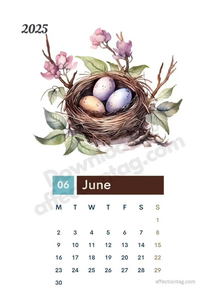 June 2025 Bird Nest Calendar showcasing a nest filled with speckled eggs surrounded by delicate magnolia flowers. ©affectiontag.com