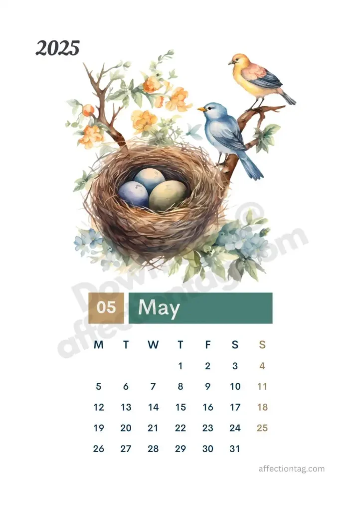 May 2025 Bird Nest Calendar displaying a nest with three eggs and two perched birds amidst blooming branches. ©affectiontag.com