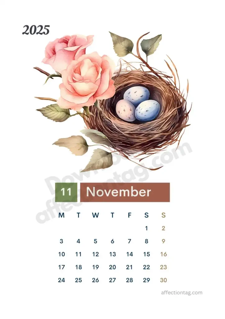 November 2025 Bird Nest Calendar showcasing a rustic nest with three eggs and elegant pink roses. ©affectiontag.com