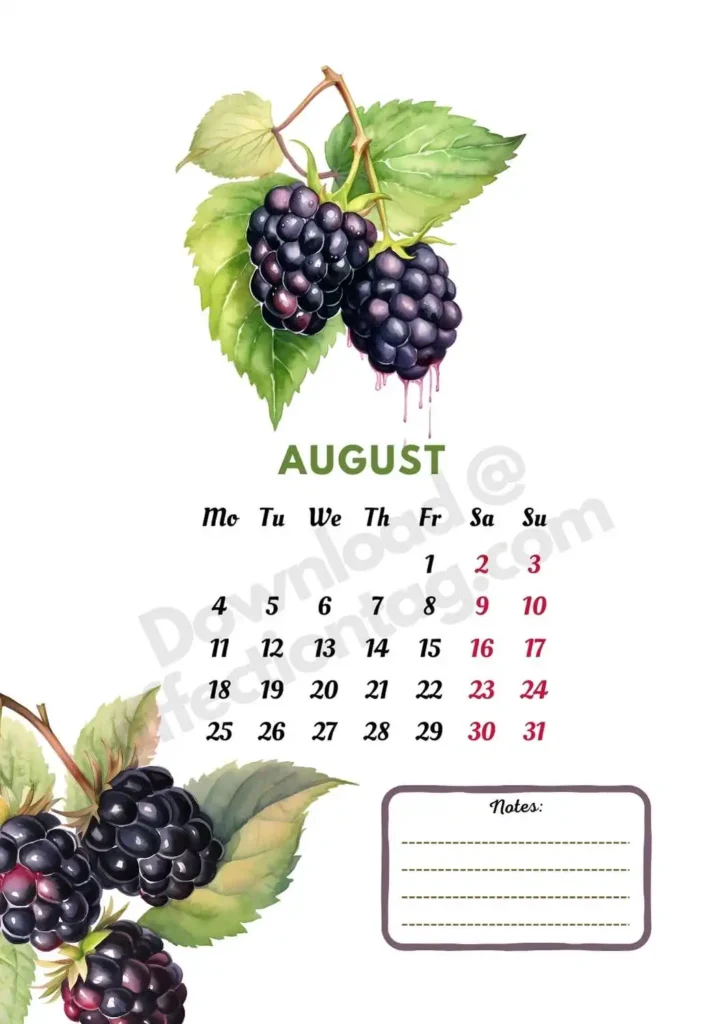 2025 August Fruits Calendar showcasing ripe and juicy blackberries, ideal for late summer indulgence ©affectiontag.com