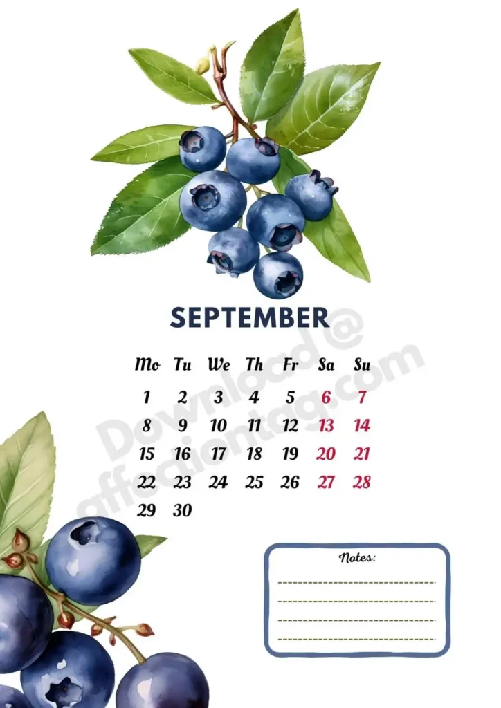 2025 September Fruits Calendar featuring plump and fresh blueberries, perfect for a healthy fall start ©affectiontag.com