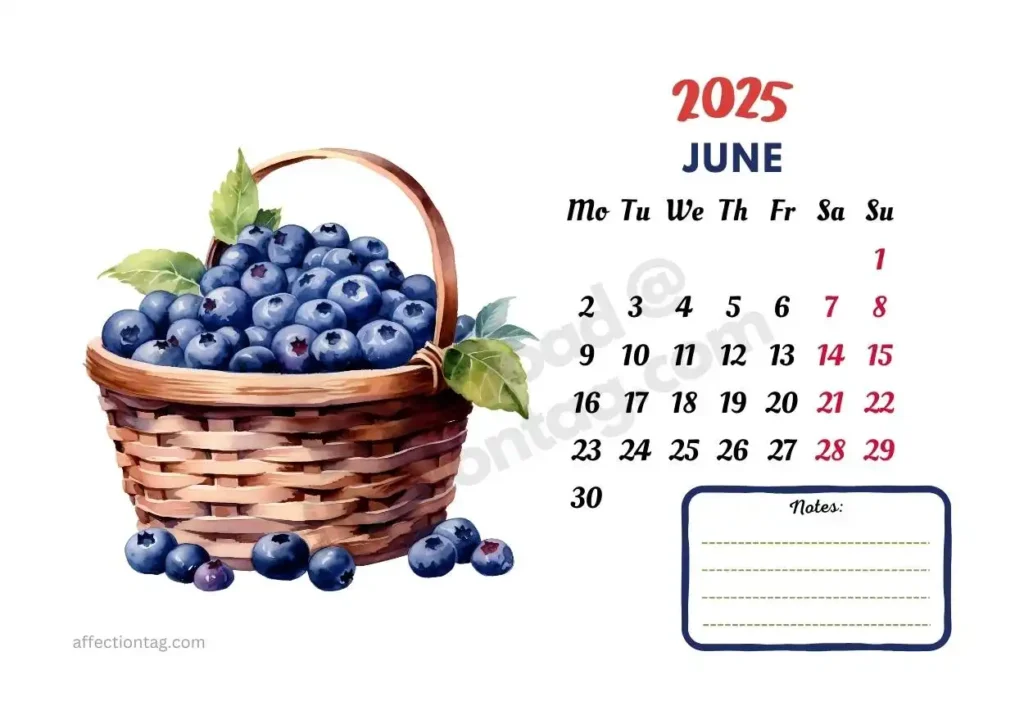 2025 June calendar showcasing a basket of ripe blueberries with a notes section at the bottom. Created by affectiontag.com©.