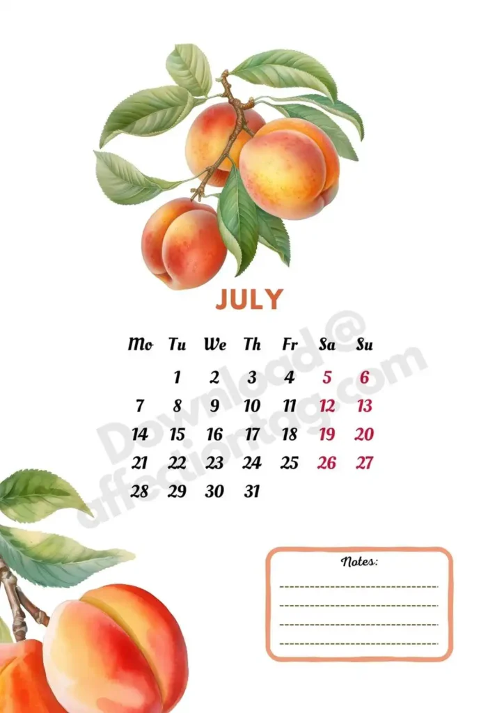 2025 July Fruits Calendar highlighting sweet and succulent peaches, celebrating the essence of summer ©affectiontag.com