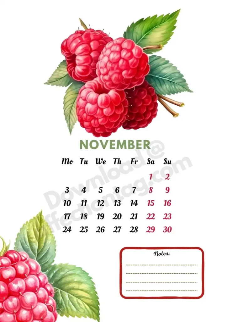 2025 November Fruits Calendar showcasing fresh and vibrant raspberries, perfect for cozy fall treats ©affectiontag.com