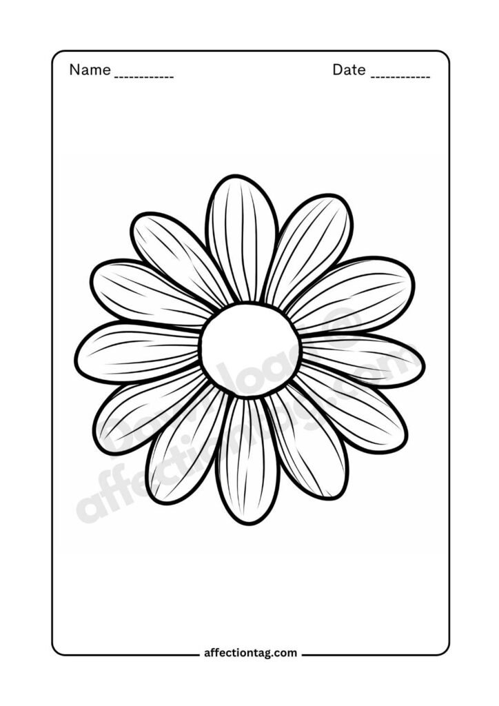 Simple daisy bloom flower drawing image with elegant outlines ©affectiontag.com.