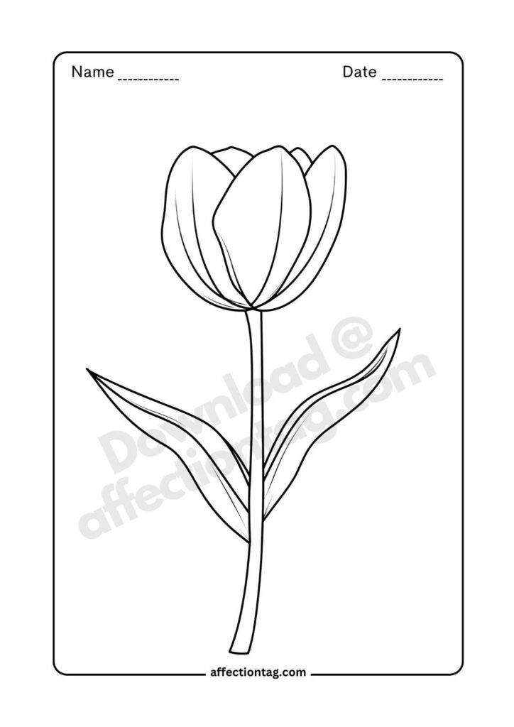 Simple tulip illustration with minimal detailing, perfect for flower drawing images ©affectiontag.com.