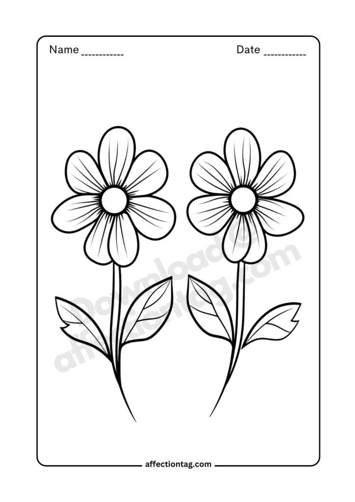 Minimalist outline of twin flowers with vibrant petals and simple leaves, perfect for flower drawing images. ©affectiontag.com