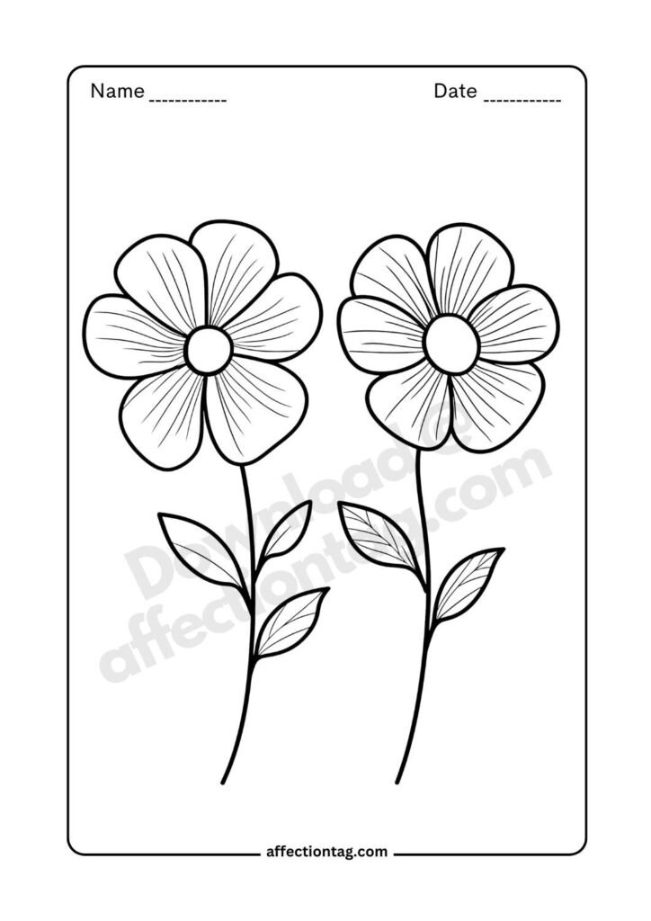 Illustration of two elegant flower stems, each adorned with delicate petals and leaves, crafted for flower drawing images. ©affectiontag.com