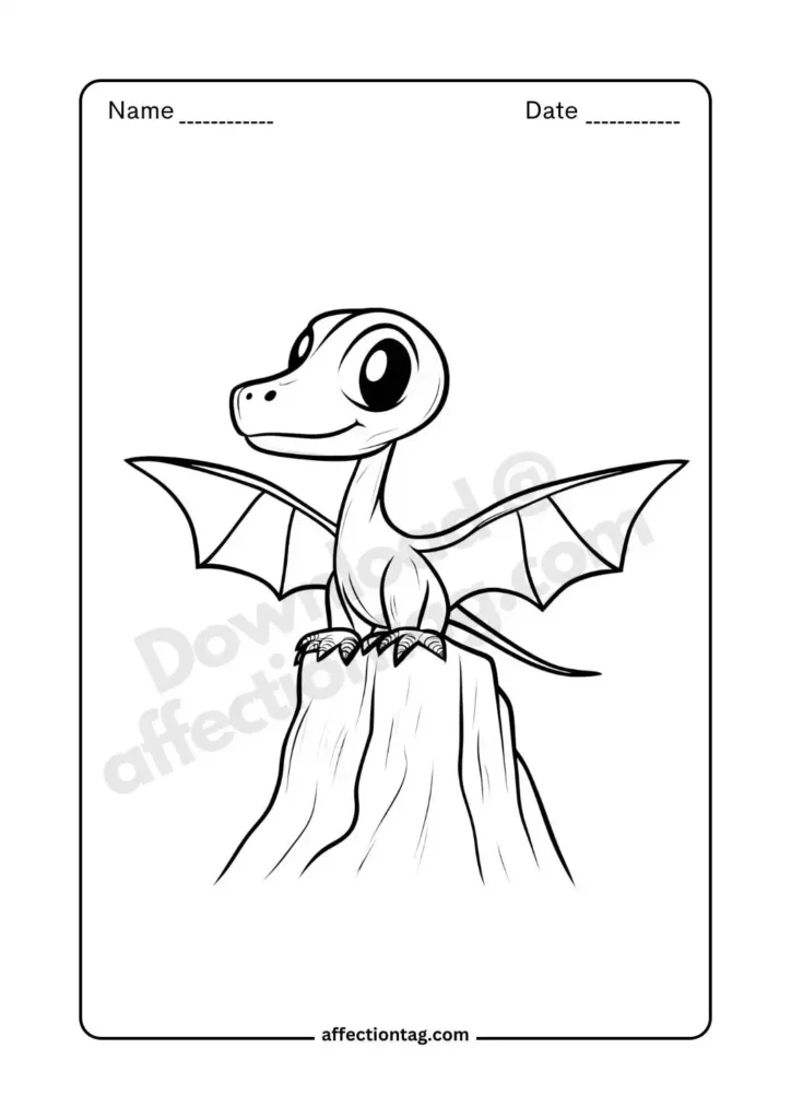 Free Printable Dinosaur Coloring Pages for Kids - Fun & Educational Activities 33 A small and charming baby pterosaur sitting on a rock, preparing to take its first flight. A delightful choice for dinosaur fans. 🏞️🦖 Dinosaur coloring pages ©affectiontag.com