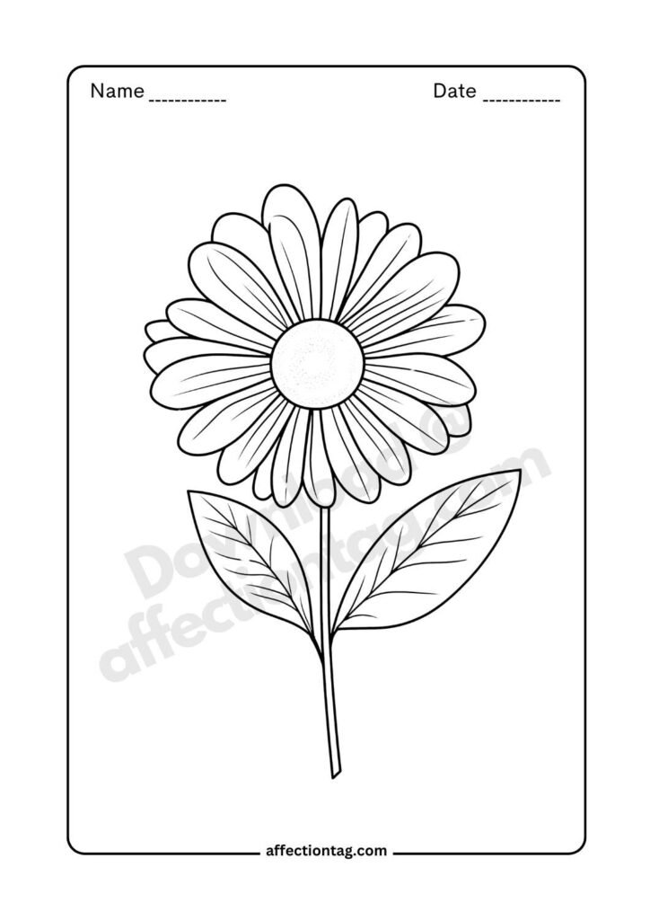 Detailed daisy flower drawing image perfect for coloring enthusiasts ©affectiontag.com.