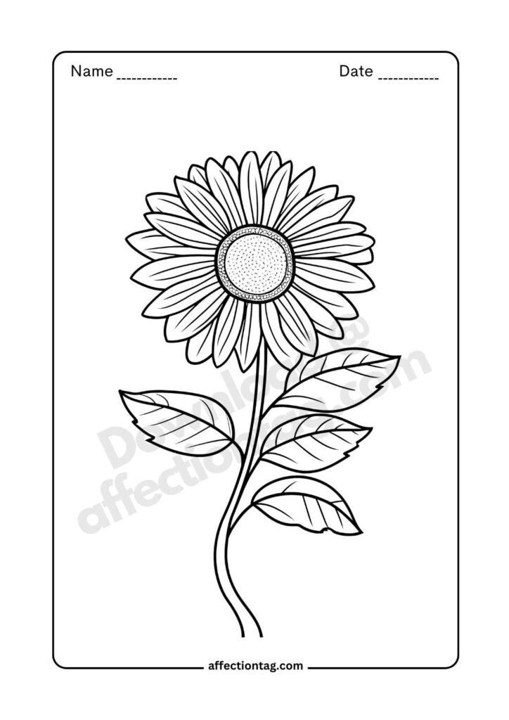 Beautiful sunflower coloring page with detailed petals and leaves. Perfect for creative flower drawing images ©affectiontag.com.