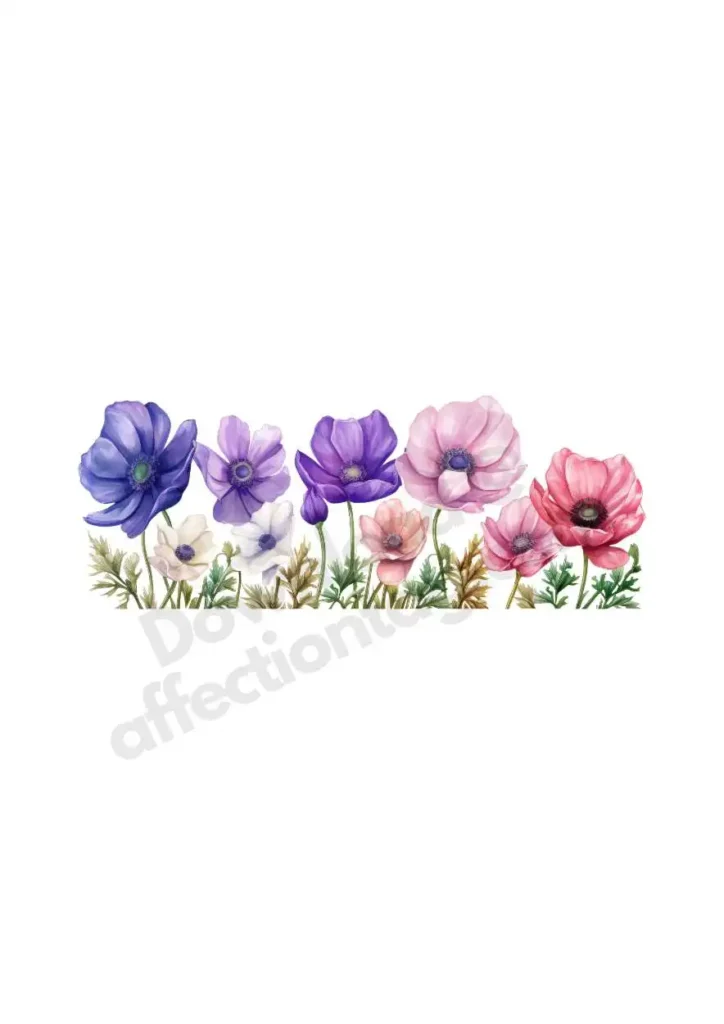 Free Anemone Flowers Cliparts – Watercolor Floral PNGs for Printables & DesignAnemone flower cliparts 5 Anemone Soft Pink and Blue Blooms