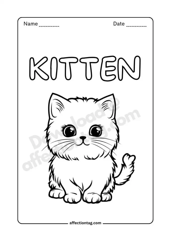 A kitten with a soft, elegant fur pattern, ideal for free coloring pages of cat. ©affectiontag.com