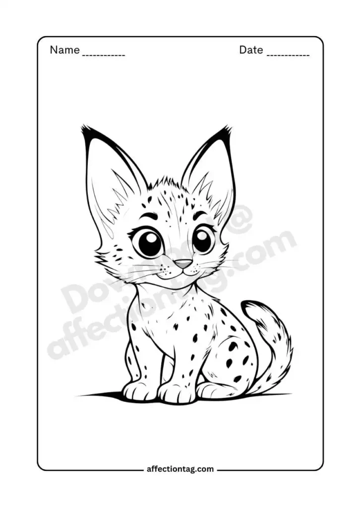  A cute spotted kitten sitting with big eyes, perfect for free coloring pages of cat. ©affectiontag.com