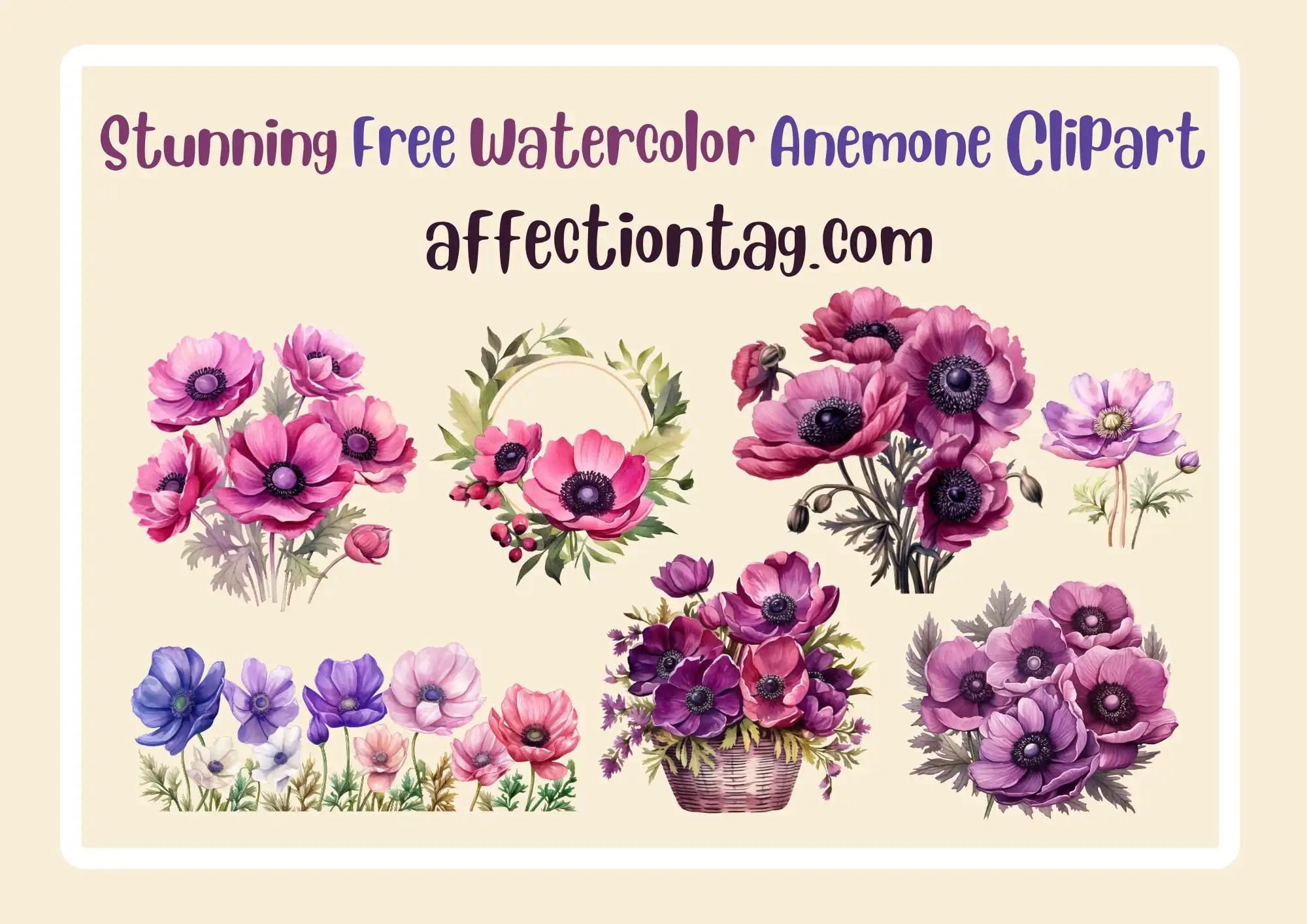 anemone flower cliparts