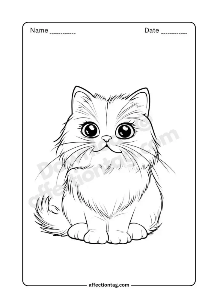 A fluffy Persian kitten with big, expressive eyes, great for free coloring pages of cat. ©affectiontag.com