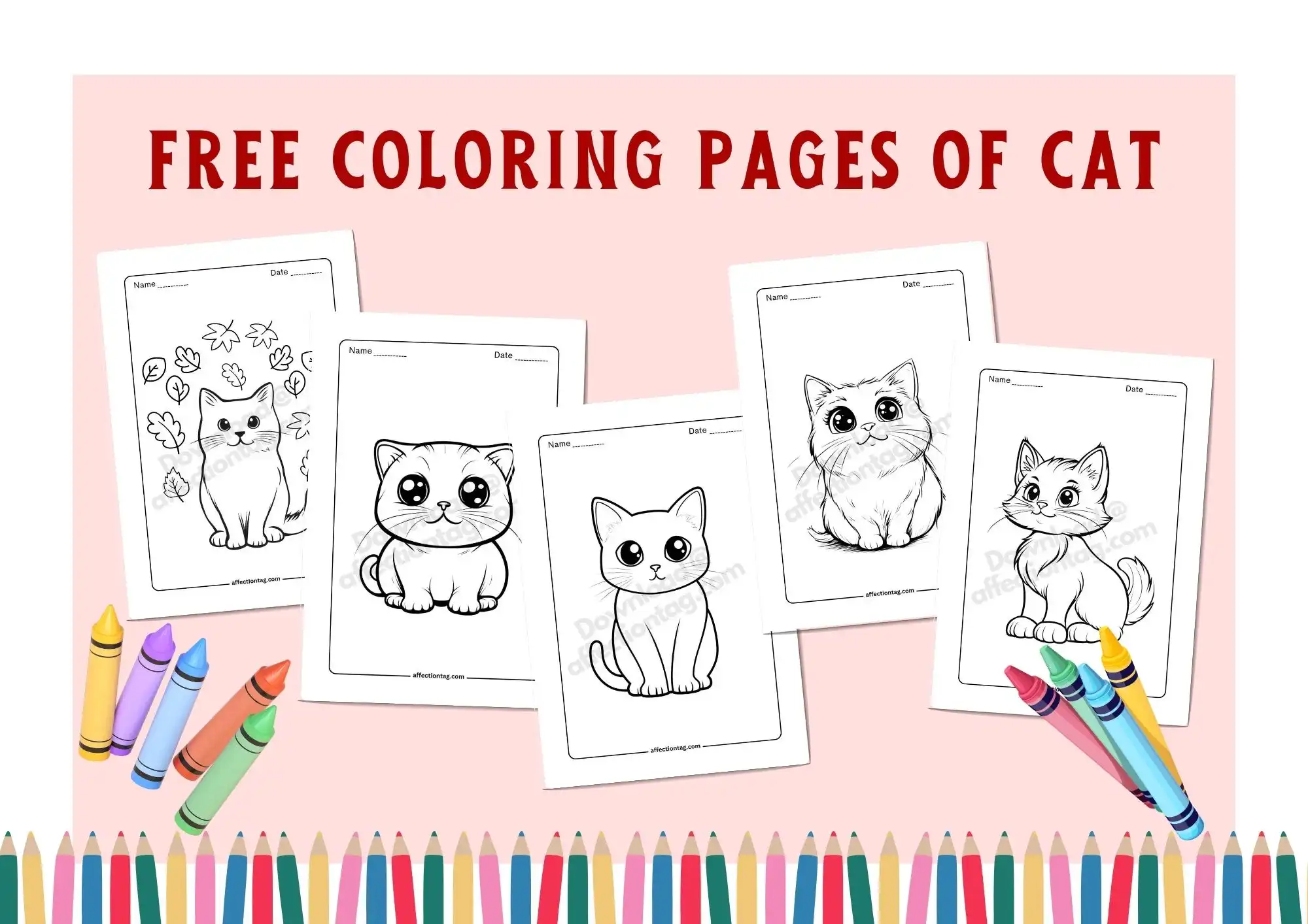 free coloring pages of cat